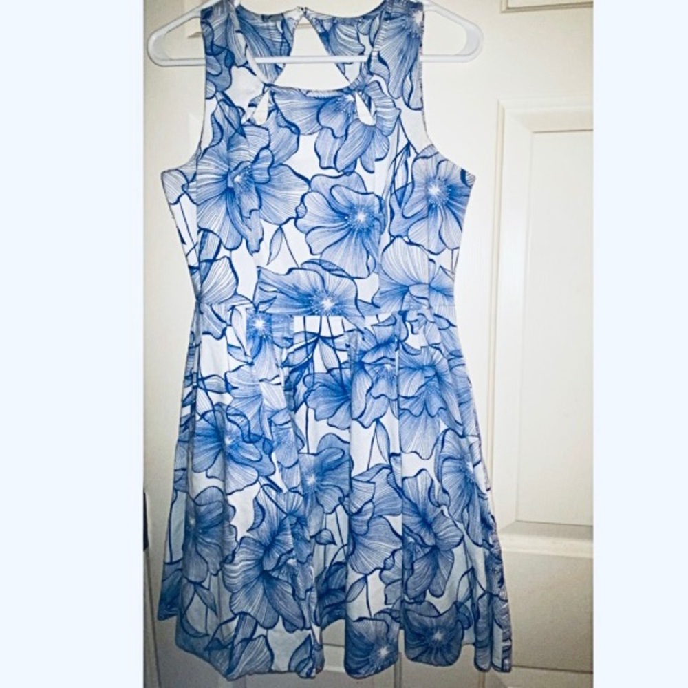 Blue & White Fit and Flare dress by Danny & Nicole